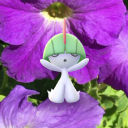 requiembeeblebroxx avatar