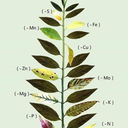 rerererarara1650 avatar