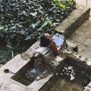 resaltadoramarillo avatar