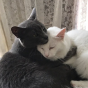 resentimiento-sin-re avatar