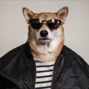 reservoir--doge avatar