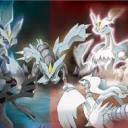 reshiram-and-zekrombw avatar