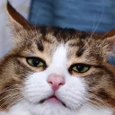 resilientspirit avatar