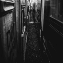 resistyourheart avatar