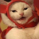 respectful-rebel avatar