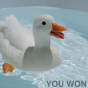 responsiblelemon avatar