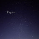 restingcygnus avatar