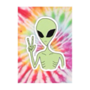 restless-moonchild avatar