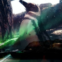 restlessnerves95 avatar