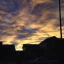 results-in-progress avatar