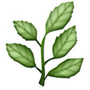 retarded-unicorns avatar