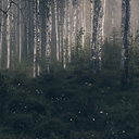 retiretomysilence avatar