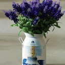 retro7wonder4reverie avatar