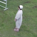 retrolo-blog1 avatar