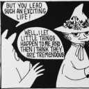 reuploading-important-stuff avatar