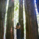 revelintheredwoods avatar