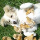 reverieflowers avatar