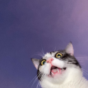 reveries-nation avatar