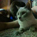 reversedbackwardsthoughts avatar