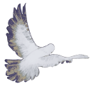 reverserenders avatar