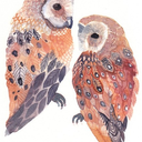 reveurnetwork avatar