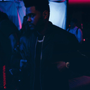 revitalrisman avatar