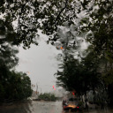 revive-me-soon avatar