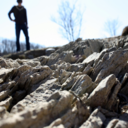 revolt-rebuild-rejoice avatar