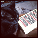 revolutionarycats avatar