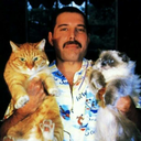 revolutionisart avatar