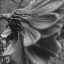 revrevrew-personal avatar