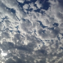 rexandpictures avatar