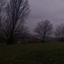 rexylikecrazy avatar