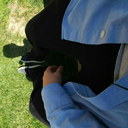 reynoldsrap9533 avatar