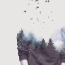 rgirl101-blog avatar