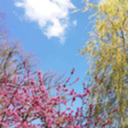 rh-wannabewriter avatar