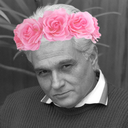 rhetoricallyyours avatar