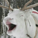 rhodiumreindeer avatar