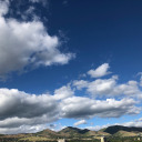 rhubarbfiasco avatar