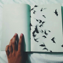 rhymeorreason avatar