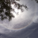 rhymes-with-awkward avatar