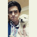 ricardomoreira123-blog avatar