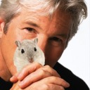 richard-geres-gerbil-offical avatar