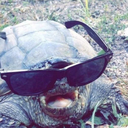 richard-nixon-vevo avatar