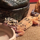 richarddoesthings avatar