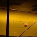 richardhasfoundthisblog avatar