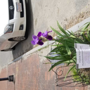 richardmondor avatar