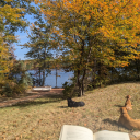 ricky-ricochet avatar