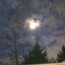 rickygrimesdohdah avatar