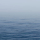 rickyleerichards avatar